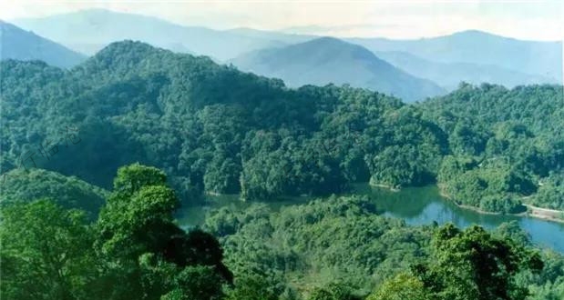 南滾河自然保護(hù)區(qū)