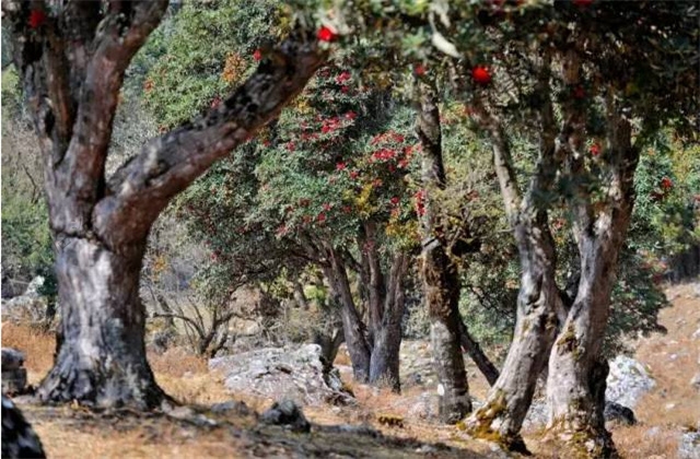 臨滄旅游景區(qū)