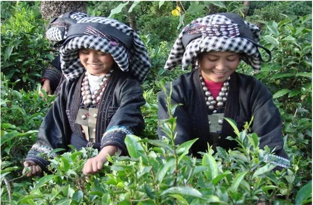 臨滄旅游景區(qū)