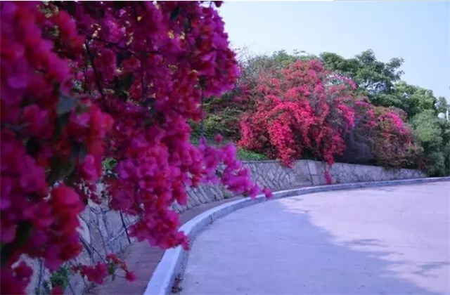 臨滄旅游景區(qū)