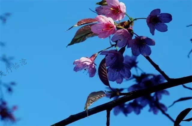 臨滄旅游景區(qū)