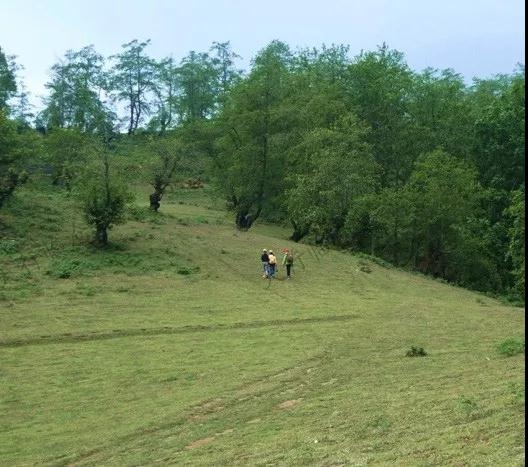 云縣茂蘭鎮(zhèn)撥還河村陳家自然村