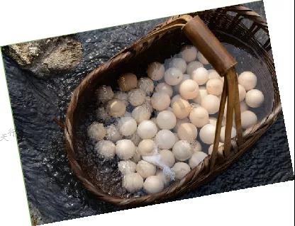 云縣幸福鎮(zhèn)忙峨村大團山自然村