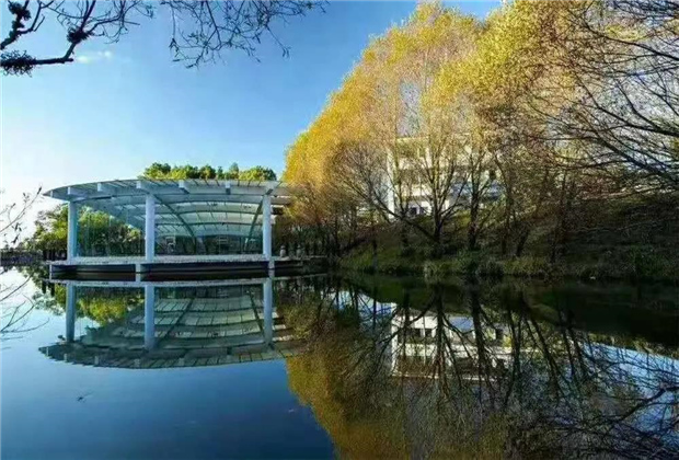 臨滄旅游景點(diǎn)，五老山國(guó)家森林公園