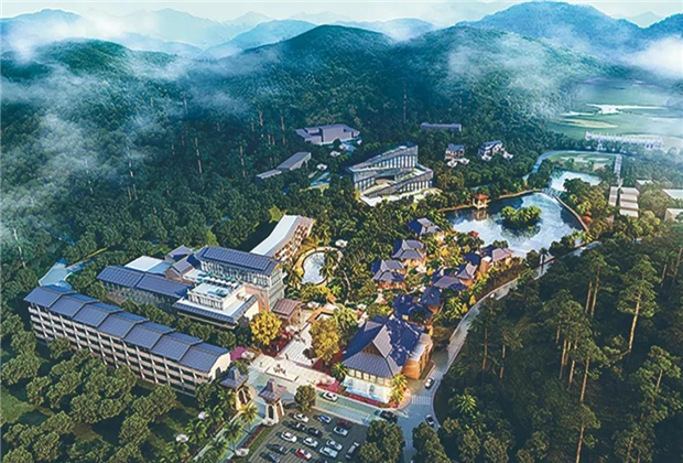 鄉(xiāng)村旅游看臨滄丨冰島茶文化園——南方有嘉木 冰島有古茶