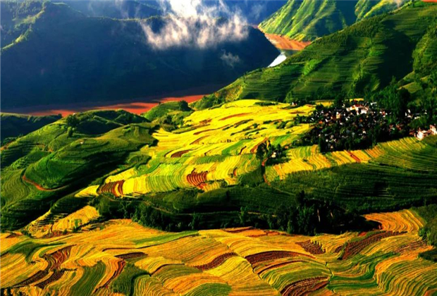 云縣后箐鄉(xiāng)菠蘿自然村畔獨(dú)樹(shù)成林的村莊   臨滄會(huì)展策劃